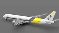 Flaps